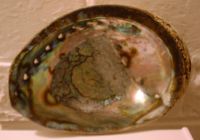 Click here for another image